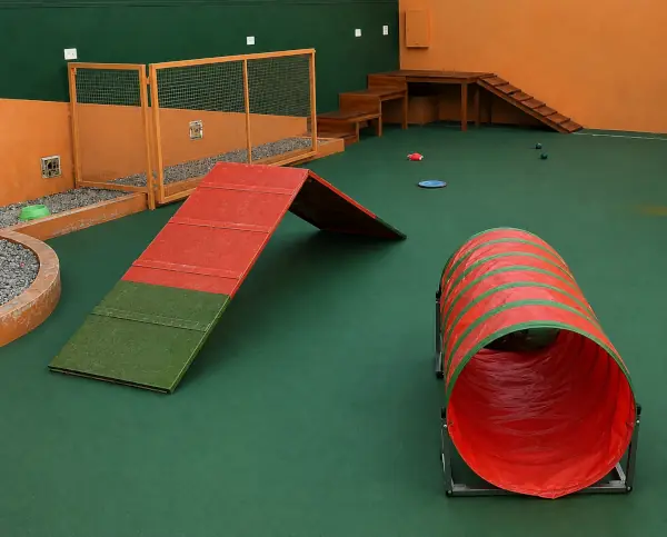 Túnel e rampa para circuito de treinamento pet