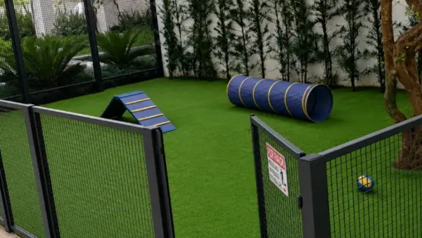Túnel e rampa para circuito de treinamento pet